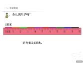 一年级下册数学课件－8.1厘米的认识  ｜青岛版（五年制）