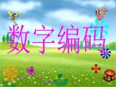 三年級(jí)下冊(cè)數(shù)學(xué)課件－相關(guān)鏈接 數(shù)字與編碼 ｜青島版（五年制）