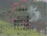 三年級(jí)下冊(cè)數(shù)學(xué)課件－相關(guān)鏈接 數(shù)字與編碼 ｜青島版（五年制）