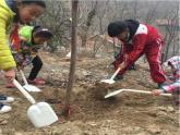 三年级下册数学课件－智慧广场 植树问题 ｜青岛版（五年制）