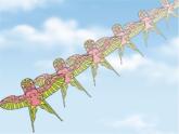 五年级下册数学课件－总复习 图形的变换 ｜青岛版（五年制）