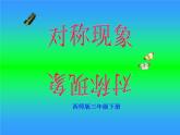 三年級下冊數(shù)學(xué)課件-4.1 對稱現(xiàn)象  ︳西師大版  （28張PPT）