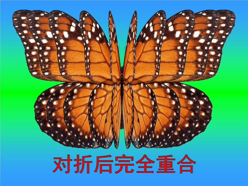 三年级下册数学课件-4.1 对称现象  ︳西师大版  （28张PPT）第8页