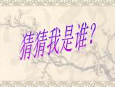三年級(jí)下冊(cè)數(shù)學(xué)課件-4.2 軸對(duì)稱圖形的認(rèn)識(shí)  ︳西師大版   35張