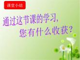 三年級下冊數(shù)學(xué)課件-4.2 軸對稱圖形的初步認(rèn)識  ︳西師大版   （共11張PPT）