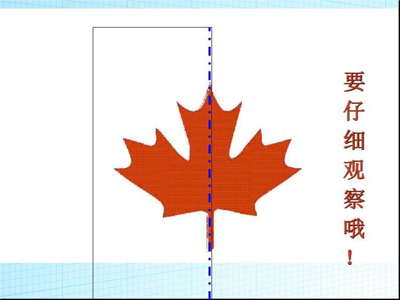 三年级下册数学课件-4.2 轴对称图形  ︳西师大版（共39张PPT）第7页