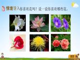 青岛版五年制数学二年级下册《9-3 漂亮的花朵》课堂教学课件PPT