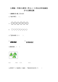 小学人教版分与合达标测试