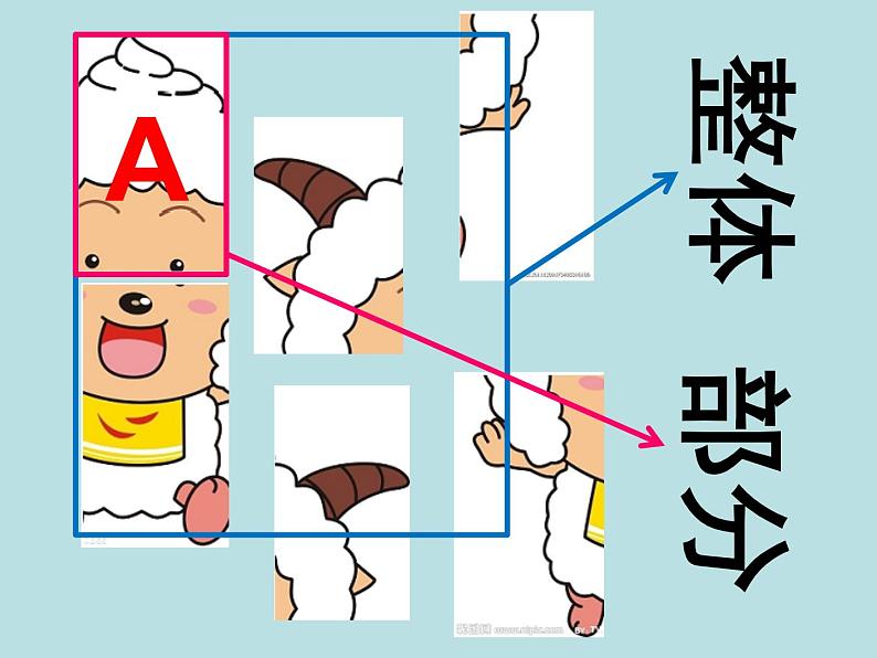 三年级下册数学课件-4.1  整体与部分 ▏沪教版   20张04