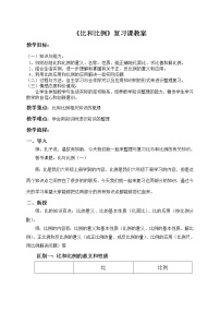 2020-2021学年第五单元 总复习数与代数教案设计