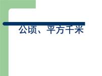 小学数学二 生活中的多边形——多边形的面积课文配套课件ppt