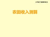 小學數(shù)學西師大版六年級下 4.4綜合與實踐 農(nóng)田收入測算 課件