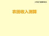 小学数学西师大版六年级下 4.4综合与实践 农田收入测算 课件