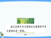 4.4解比例（课件）-2021-2022学年数学六年级下册