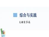 大树有多高（课件）-2021-2022学年数学六年级下册