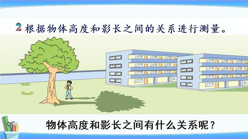 大树有多高（课件）-2021-2022学年数学六年级下册第5页