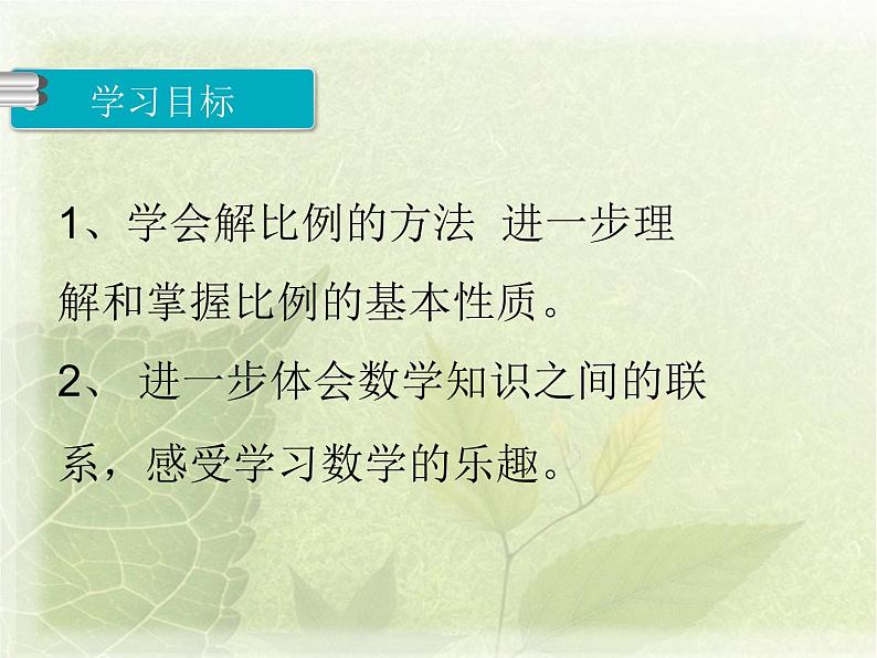 苏教版六下数学 4.4解比例 课件第2页