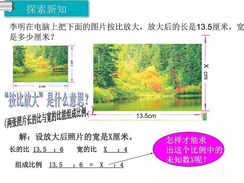 苏教版六下数学 4.4解比例 课件第5页