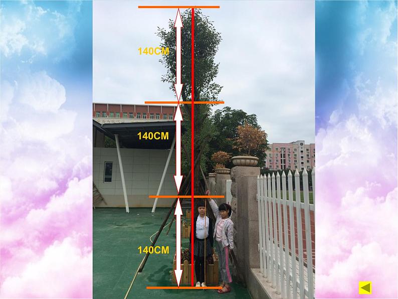 小学数学 北师大版 三年级上册《校园中的测量》部优课件08