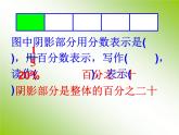 六年级下册数学课件-1.4  百分数的整理复习（一）   ︳西师大版