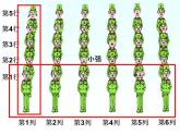 青岛版五下数学 4.1用数对确定位置 课件