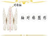 小学数学 北京版 四年级下册《轴对称图形》部优课件