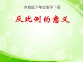 苏教版六下数学 6.3反比例的意义 课件