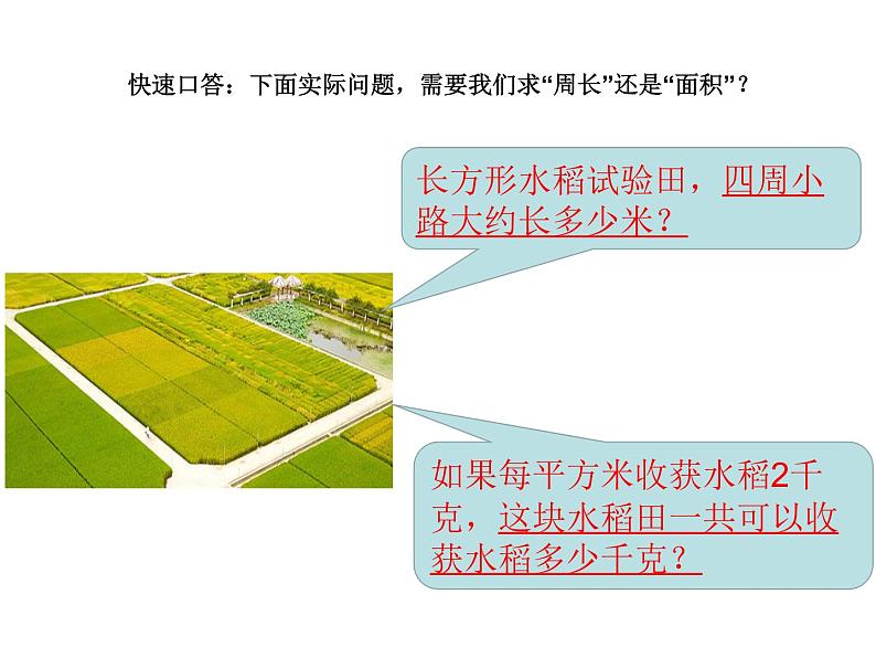 小学数学 苏教版 三年级下册 7练习九 一张纸与数学的温暖相遇部优课件04