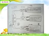 小學數學 西南師大版 五年級下冊 總復習長方體正方體部優(yōu)課件