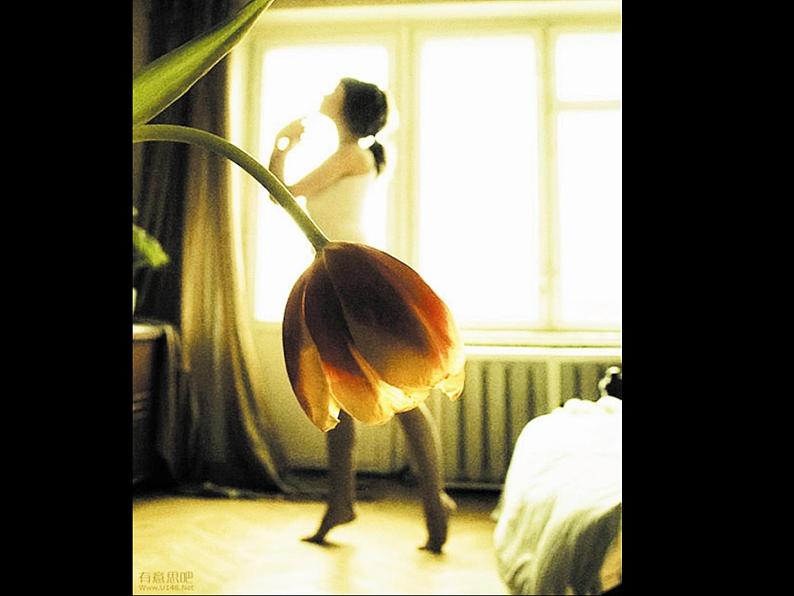 小学数学 青岛版 四年级下册 （观察物体）部优课件第4页