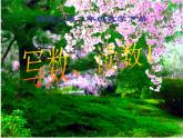 西師大版二下數(shù)學(xué) 1.2寫數(shù) 讀數(shù) 課件