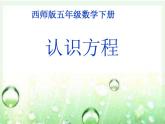 西師大版小學數(shù)學五下 5.3認識方程 課件