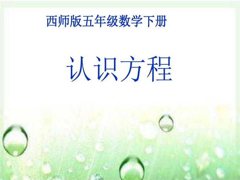 西师大版小学数学五下 5.3认识方程 课件01