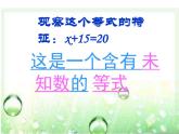 西師大版小學數(shù)學五下 5.3認識方程 課件