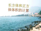 西师大版小学数学五下 3.4长方体与正方体的体积计算 课件