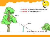 北师大版 六年级上册 第三单元 观察物体《观察的范围》课件PPT