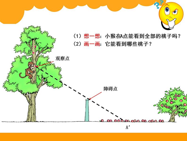 北师大版 六年级上册 第三单元 观察物体《观察的范围》课件PPT第4页