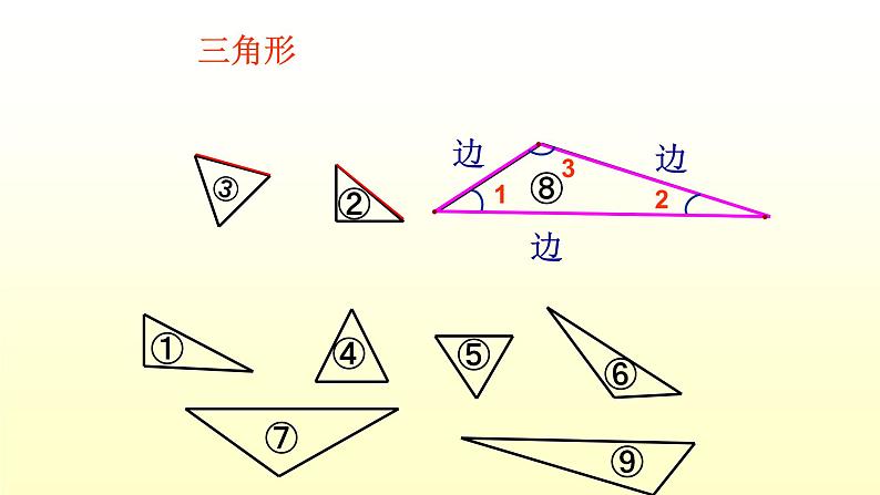 《三角形分类》课件05