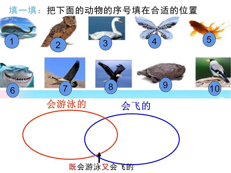 三年级数学上册课件-9.  数学广角——集合    人教版（共15张PPT）07