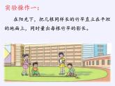 六年级数学下册课件-大树有多高 -苏教版（共13张PPT）