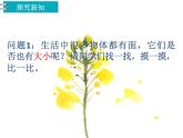 三年级下册数学课件 5.1 面积和面积单位 北京版（共19张PPT））