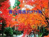 四年级上册数学课件-1.1 生活中的大数｜北京版 (共19张ppt)