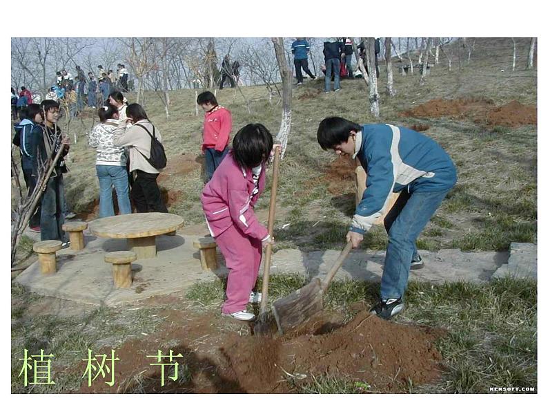 四年级数学下册课件 - 6 乘法交换律 - 苏教版（共13张PPT）第3页