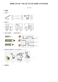 浙教版11、比长短、比高低同步训练题