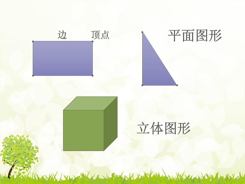 冀教版小学数学五下 3.1长方体和正方体的特征 课件第4页