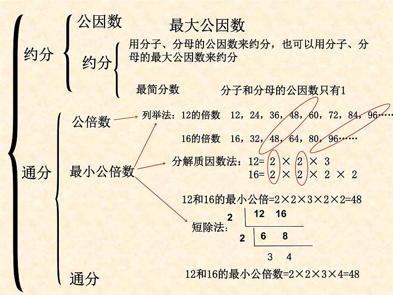 苏教版五下数学 4.14整理与练习 课件第6页