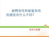 2021-2022学年北师大版五年级下学期数学第三单元《倒数的认识》（课件）