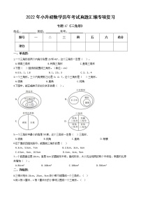 2022年小升初数学历年考试真题汇编专项复习 专题17《三角形》（有答案，带解析）