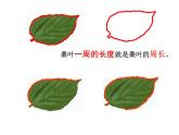 三年級(jí)下冊(cè)數(shù)學(xué)課件-7.4  周長與面積 ▏滬教版   17張
