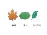 三年級(jí)下冊(cè)數(shù)學(xué)課件-7.4  周長與面積 ▏滬教版   17張